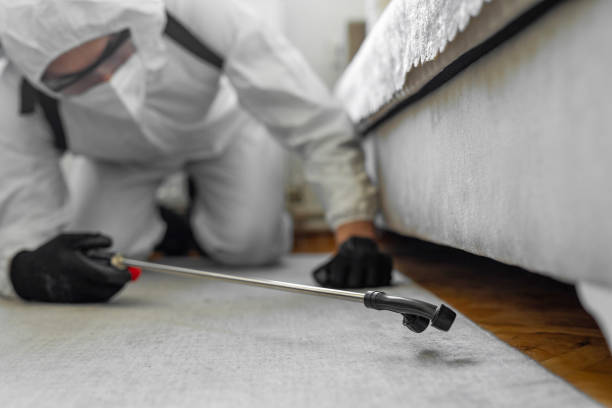 Professional Ant Control technician working in Seadrift, TX