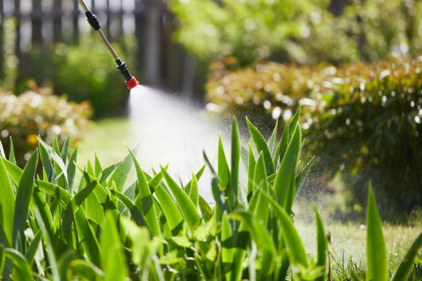 24/7 Emergency Mosquito Control experts in Seadrift, TX
