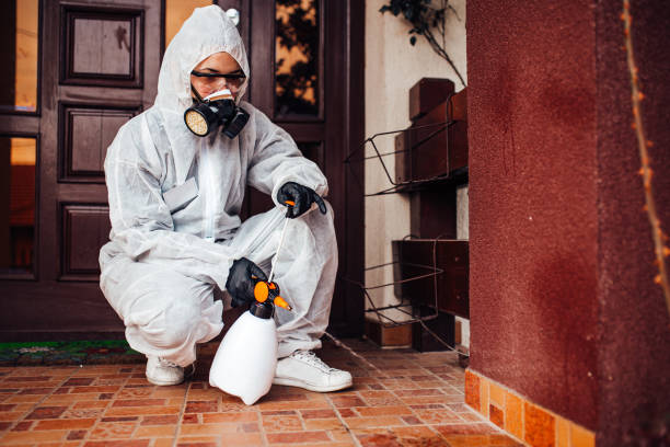 Reliable Mosquito Control contractor in Seadrift, TX by Show Me Pest Control